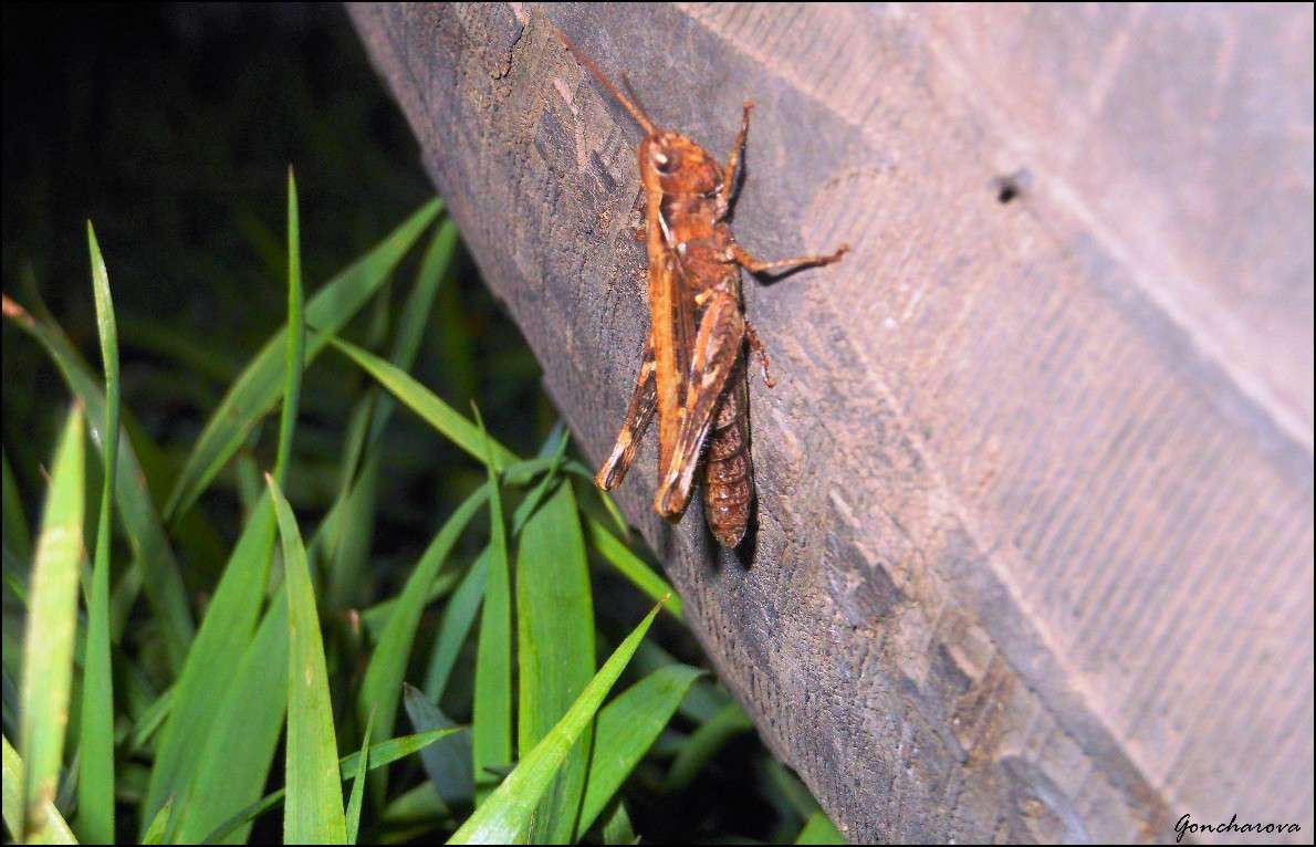 �������� �� �������� ����� ������ ��������� �� PhotoGeek.ru #�������� ��� #����� ��� ��� ���������