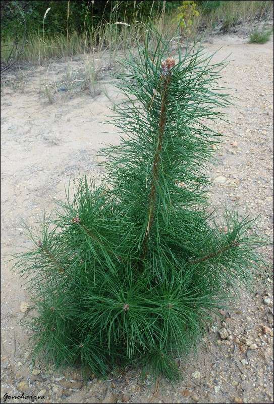 ������ ����� ������ ��������� �� PhotoGeek.ru #������ ��� ������� #����� �������������� #���