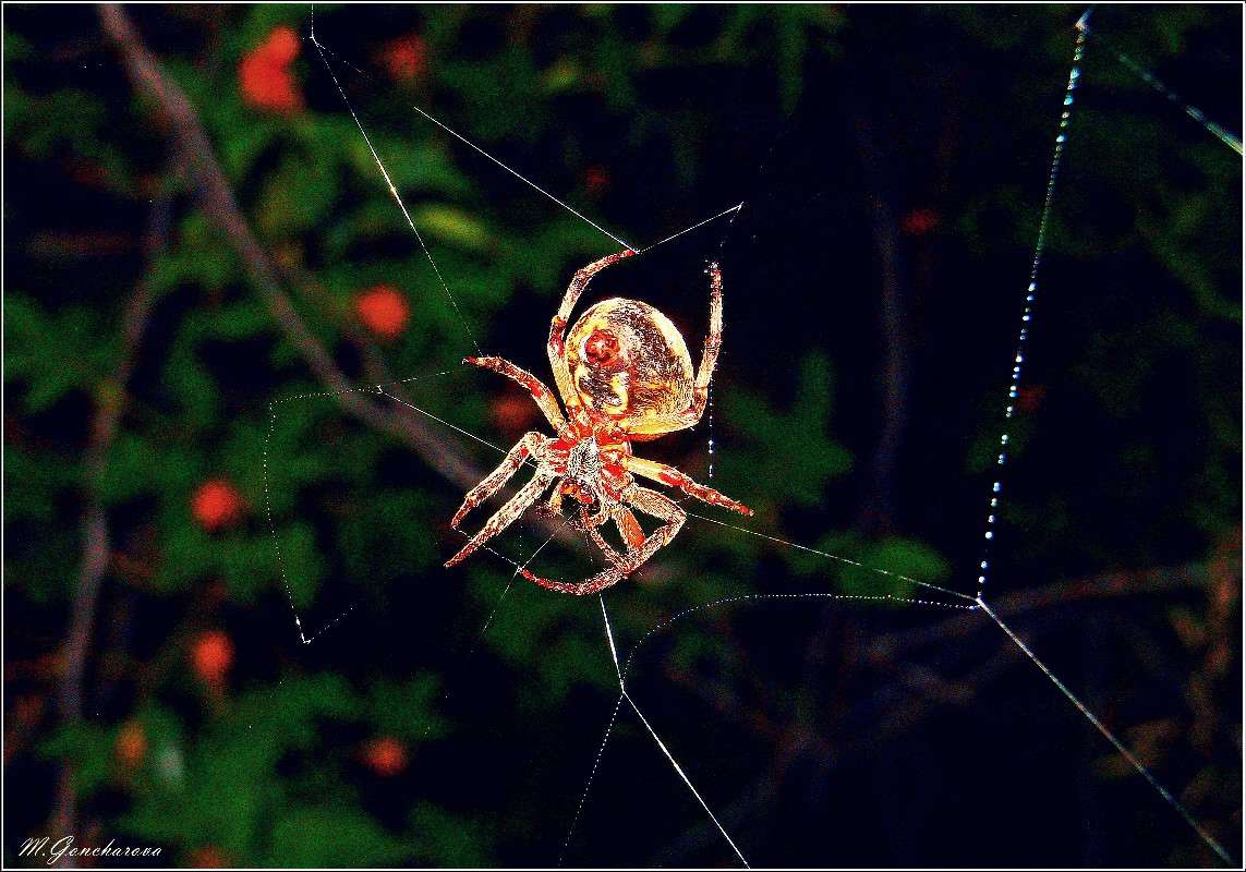 ����_3 ����� ������ ��������� �� PhotoGeek.ru #����� #���������
