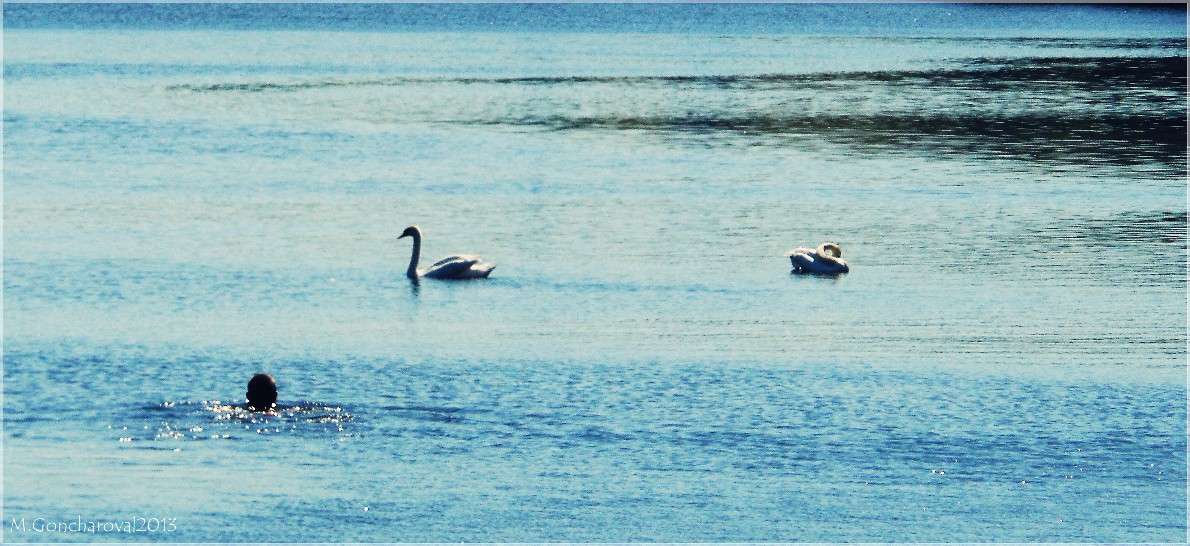 ������)) ����� ������ ��������� �� PhotoGeek.ru #������ ��� ������� #������ #����� ��������