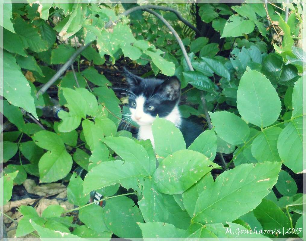 ������� ����� ������ ��������� �� PhotoGeek.ru #�������� ��� #�������� ���