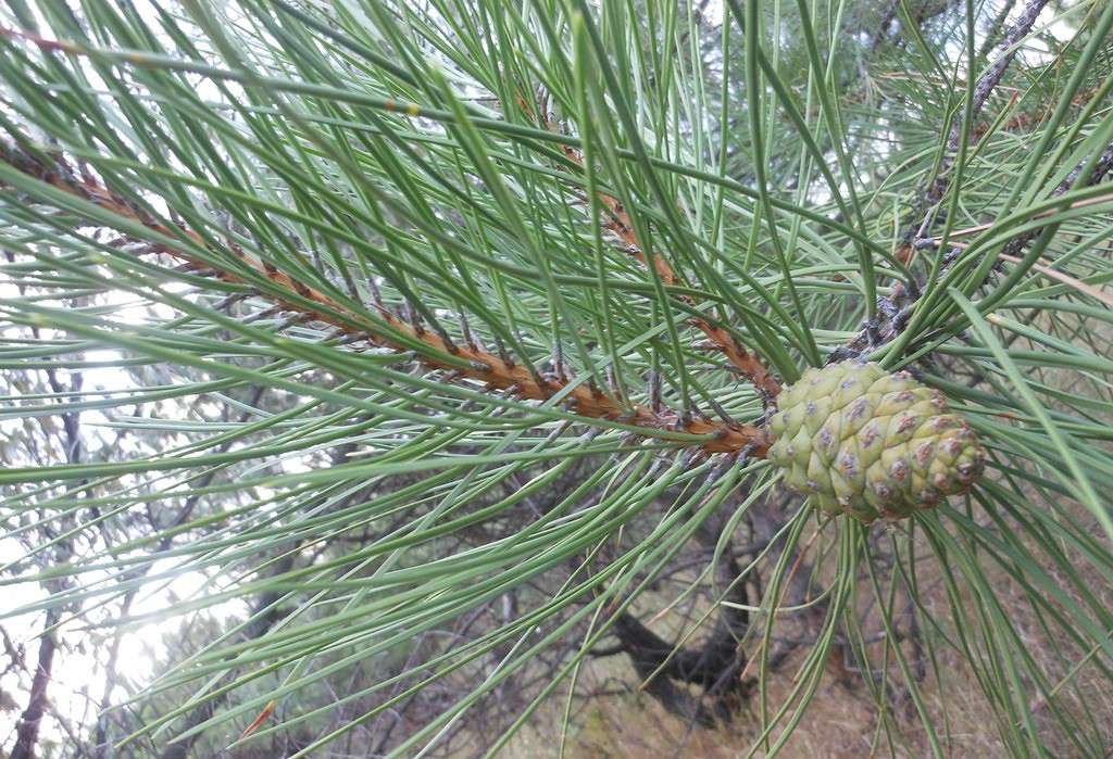 ����� ����� ������ ��������� �� PhotoGeek.ru #���