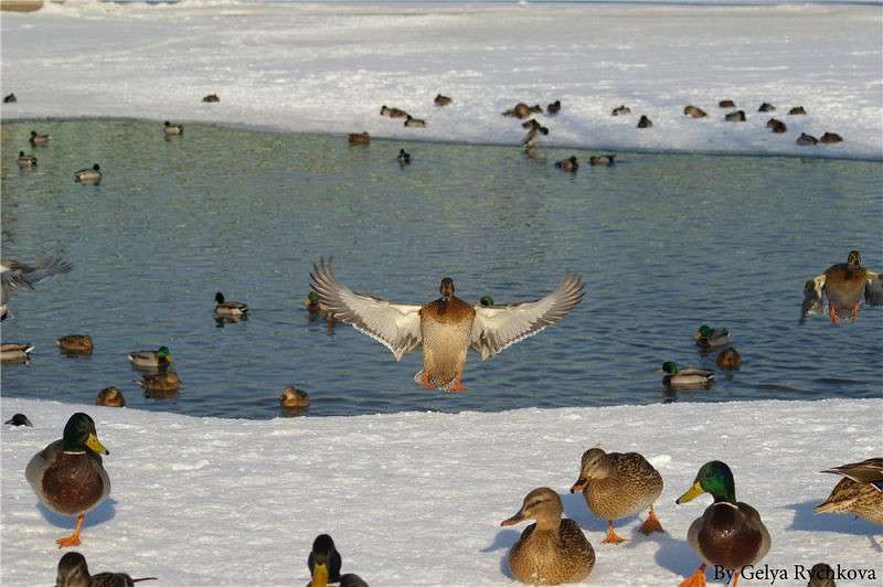 ���� ����� �������� ������� �� PhotoGeek.ru #�������� ��� #����� ��� ��� ���������