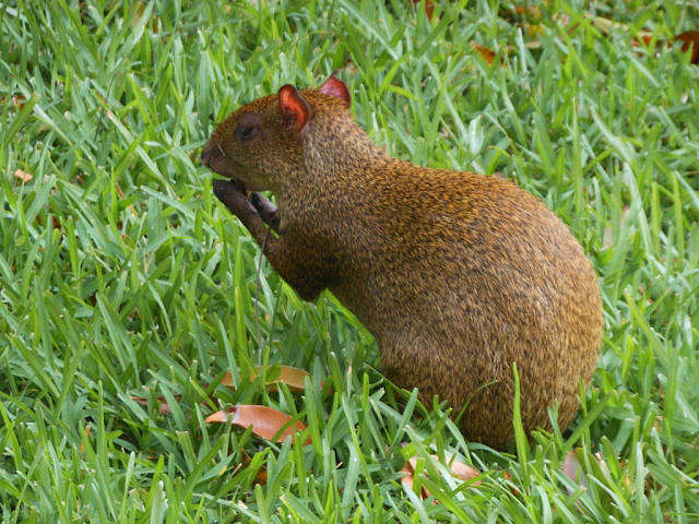 ... ����� ����  �� PhotoGeek.ru #�������� ���