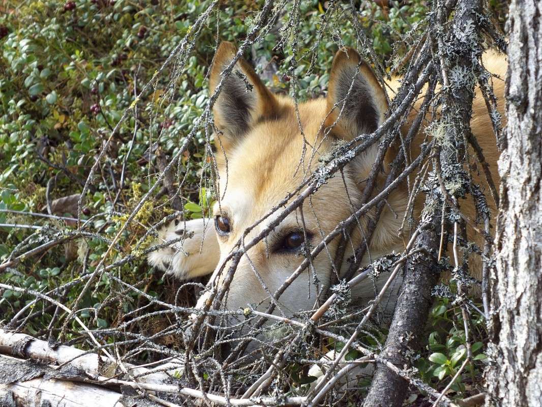 ������ �������� ����� ������  �� PhotoGeek.ru #�������� ���