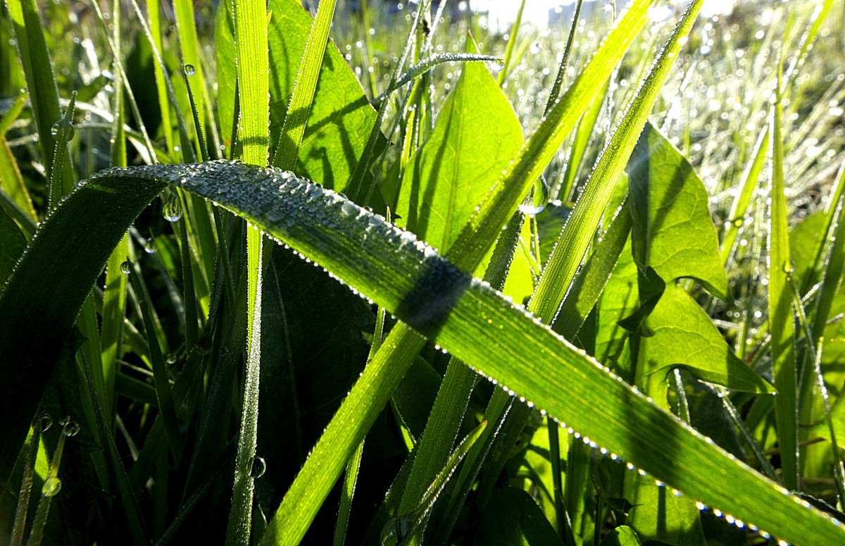 ����� ������ �����..... ����� ������  �� PhotoGeek.ru #������ ��� �������