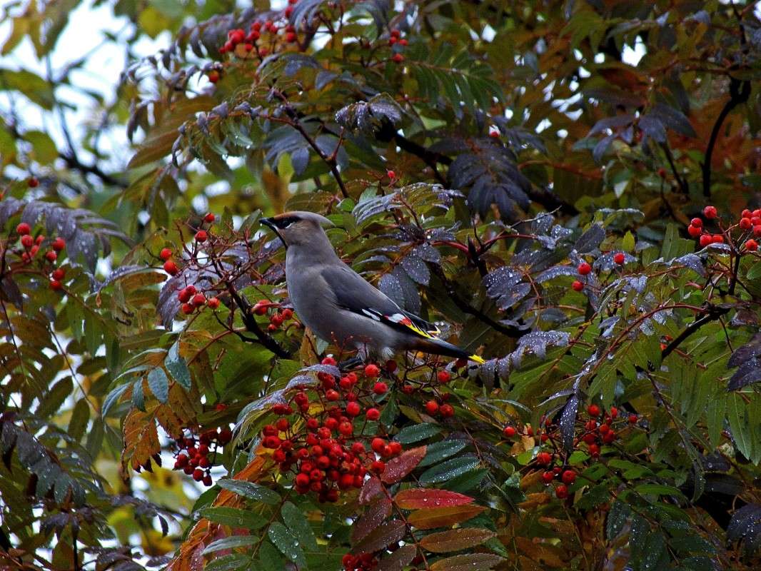 ���������� ��������� ����� ������  �� PhotoGeek.ru #�������� ���