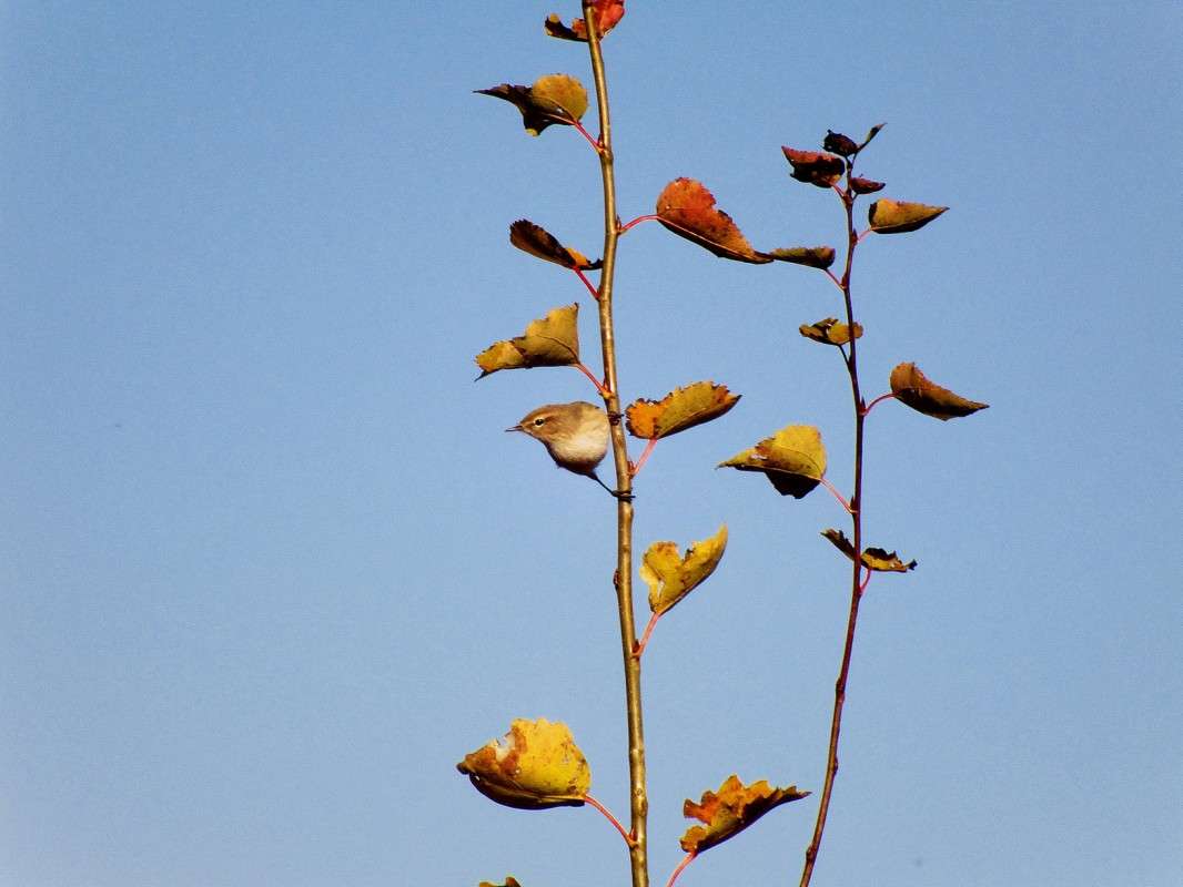 ����� � �� ������! ����� ������  �� PhotoGeek.ru #�������� ���