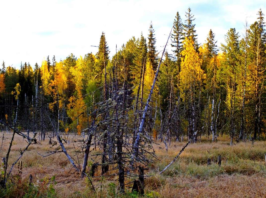 ����� ����� ������..... ����� ������  �� PhotoGeek.ru #������ ��� �������