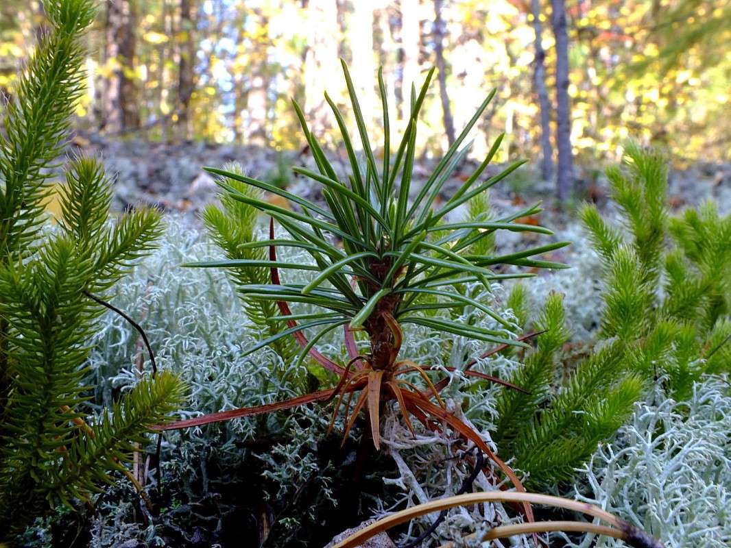 ������ ����� ����� ����� ������  �� PhotoGeek.ru #������ ��� �������