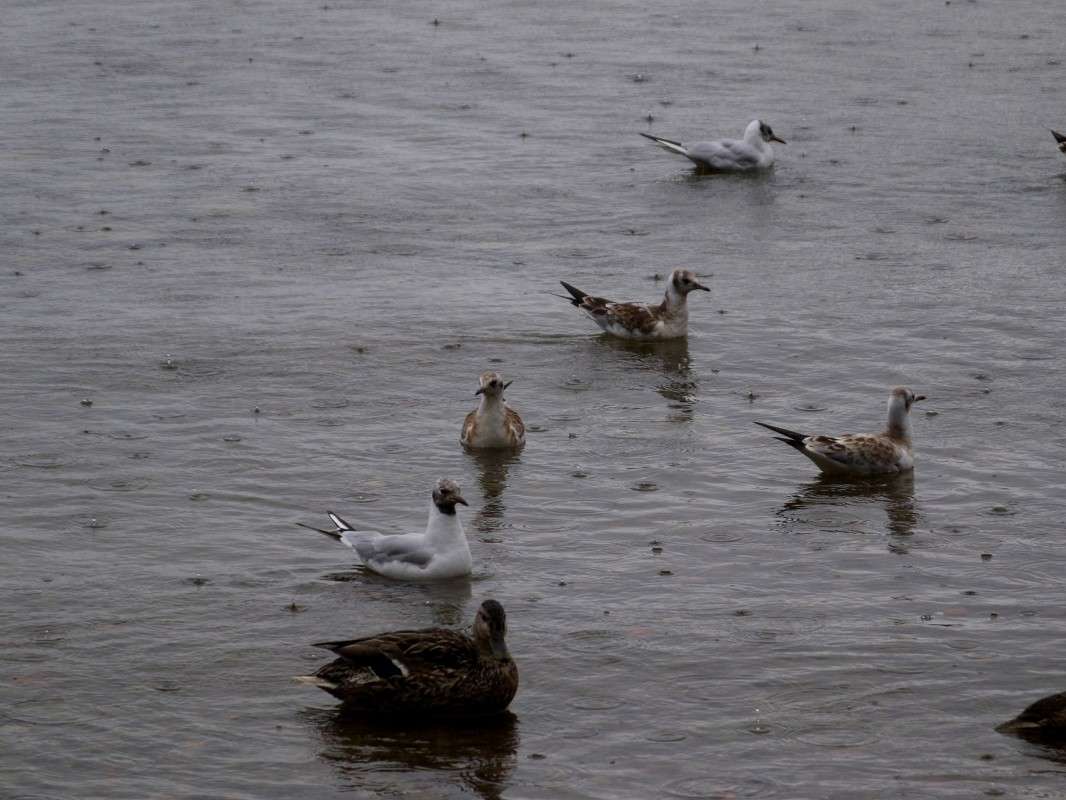 �� ��������� ����� ����� ���� ����� ������  �� PhotoGeek.ru #�������� ���