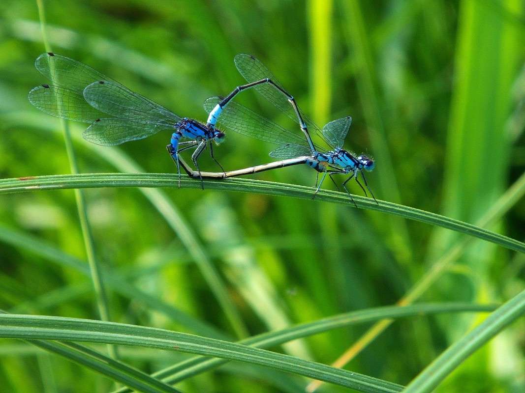 Love??? ����� ������  �� PhotoGeek.ru #�����