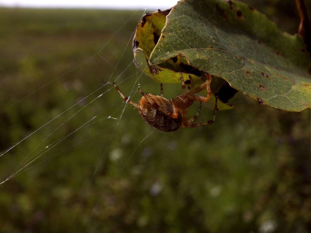 �� ����� ���� ���� ����� ������  �� PhotoGeek.ru #�����