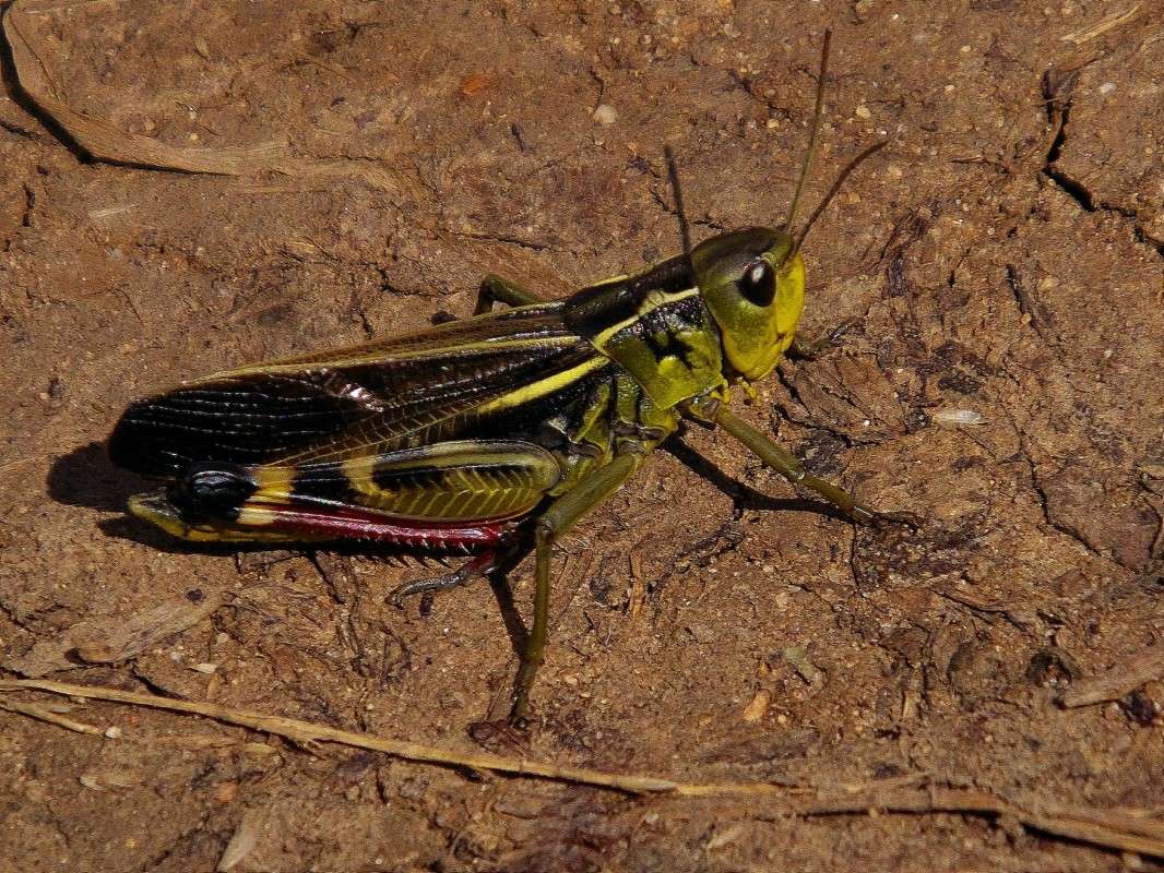 �� ������ �� ���...... ����� ������  �� PhotoGeek.ru #�����