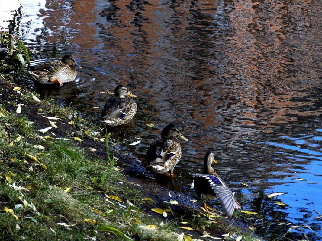 ������ ���������� ����� ������  �� PhotoGeek.ru #�������� ���