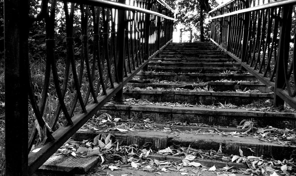 � ������ �����..... ����� ������  �� PhotoGeek.ru #������ ��� �������