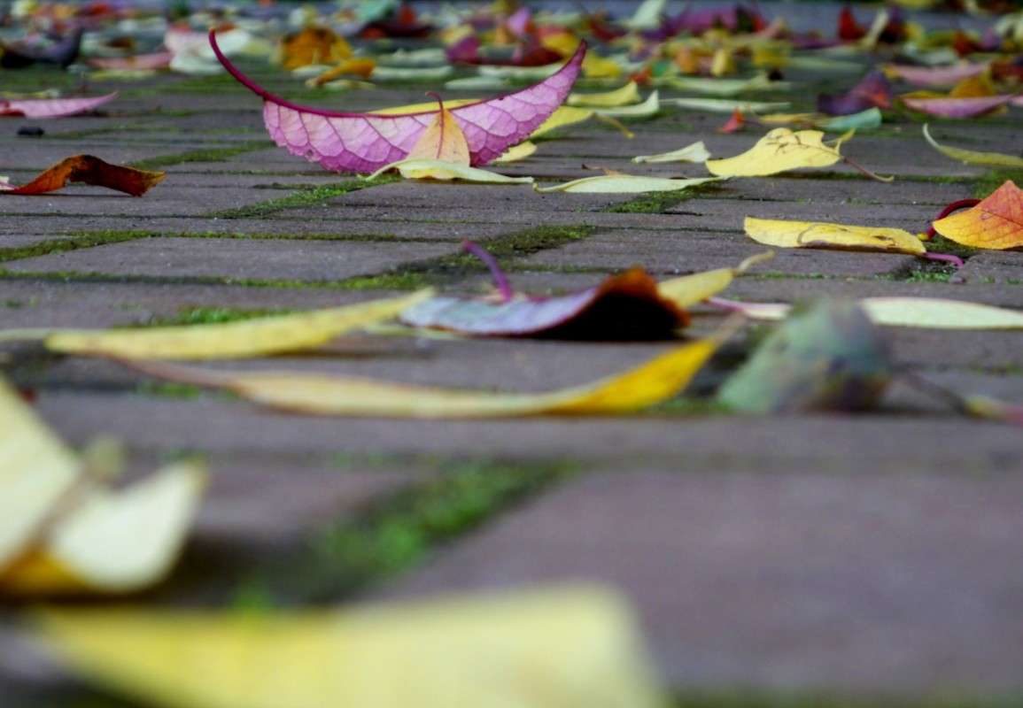 ������ ������ ������ ����� ������  �� PhotoGeek.ru #������ ��� �������