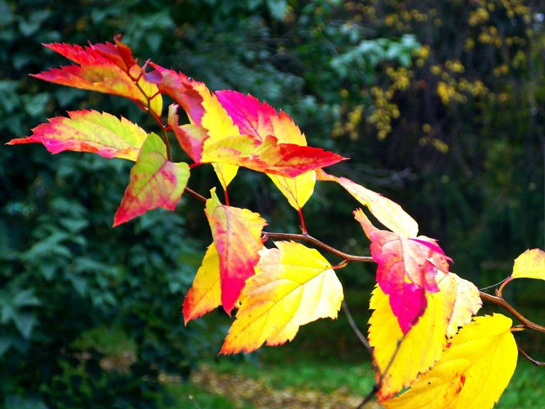 ����� ����� ����� ������  �� PhotoGeek.ru #������ ��� �������