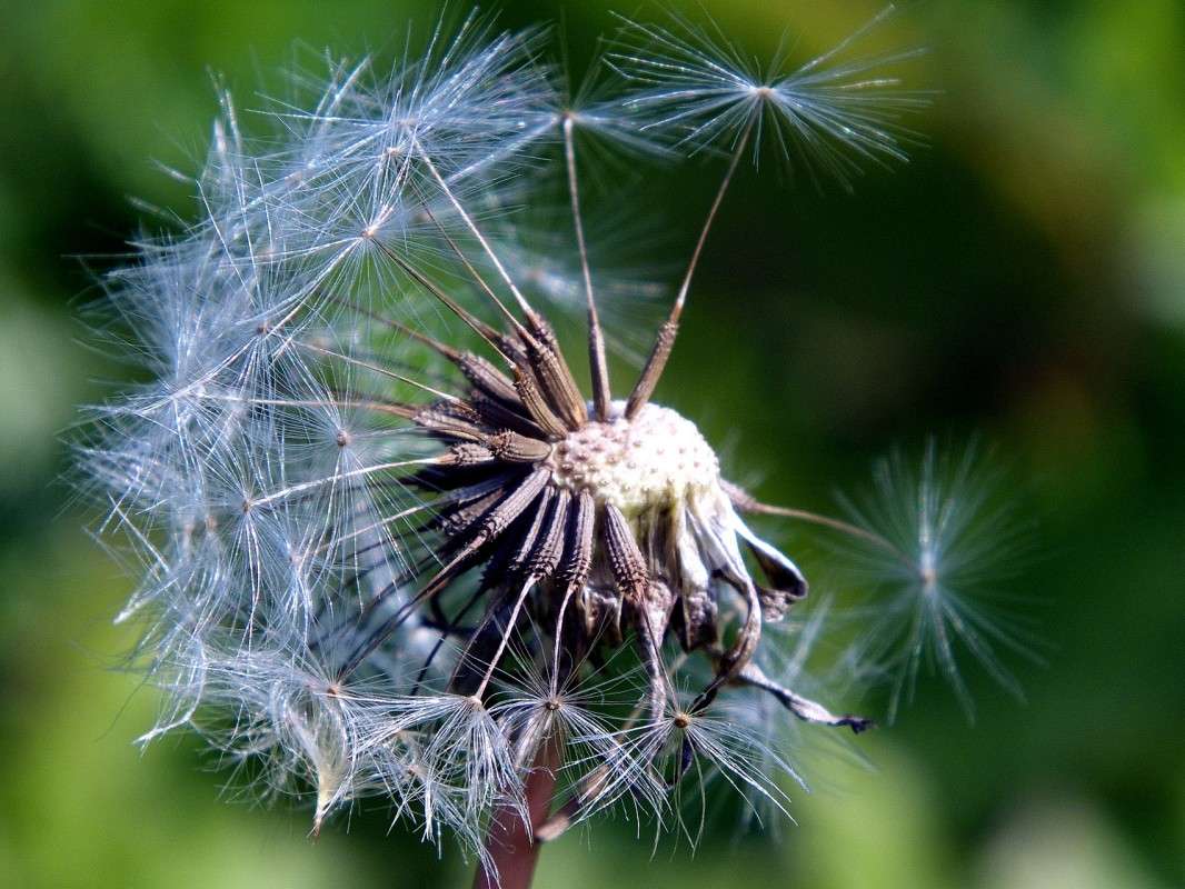 �����������.... ����� ������  �� PhotoGeek.ru #������ ��� �������