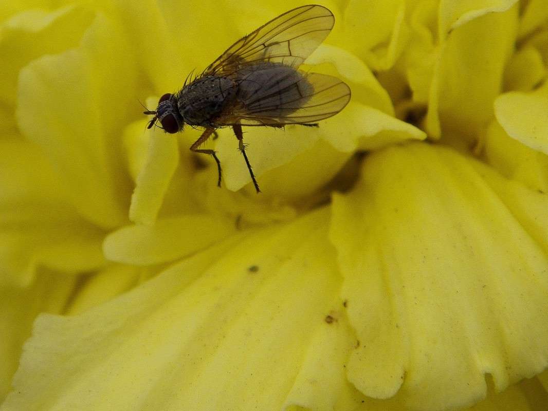 ������ ���� ����� ������  �� PhotoGeek.ru #�����