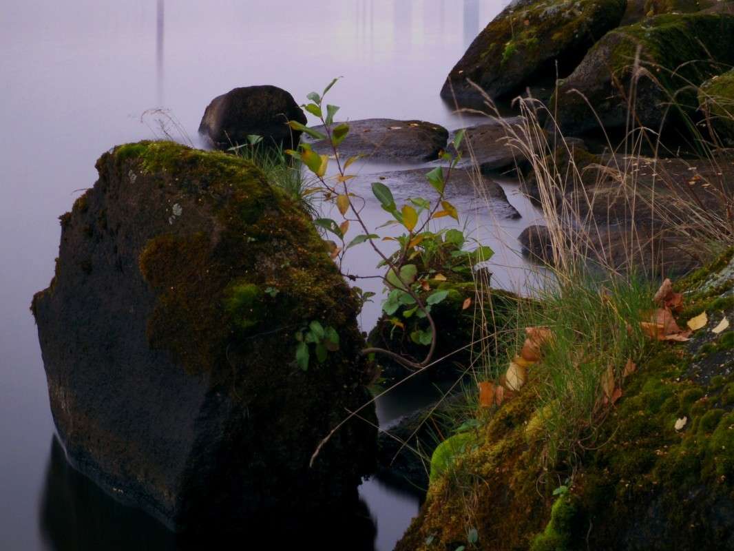 � �� ������ ������ �������.. ����� ������  �� PhotoGeek.ru #������ ��� �������