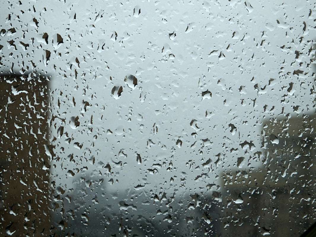 ������� ���� ����� ������  �� PhotoGeek.ru #�������� ����������