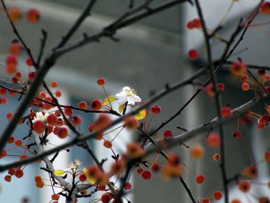 ������� ����� � ���.... ����� ������  �� PhotoGeek.ru #������ ��� �������