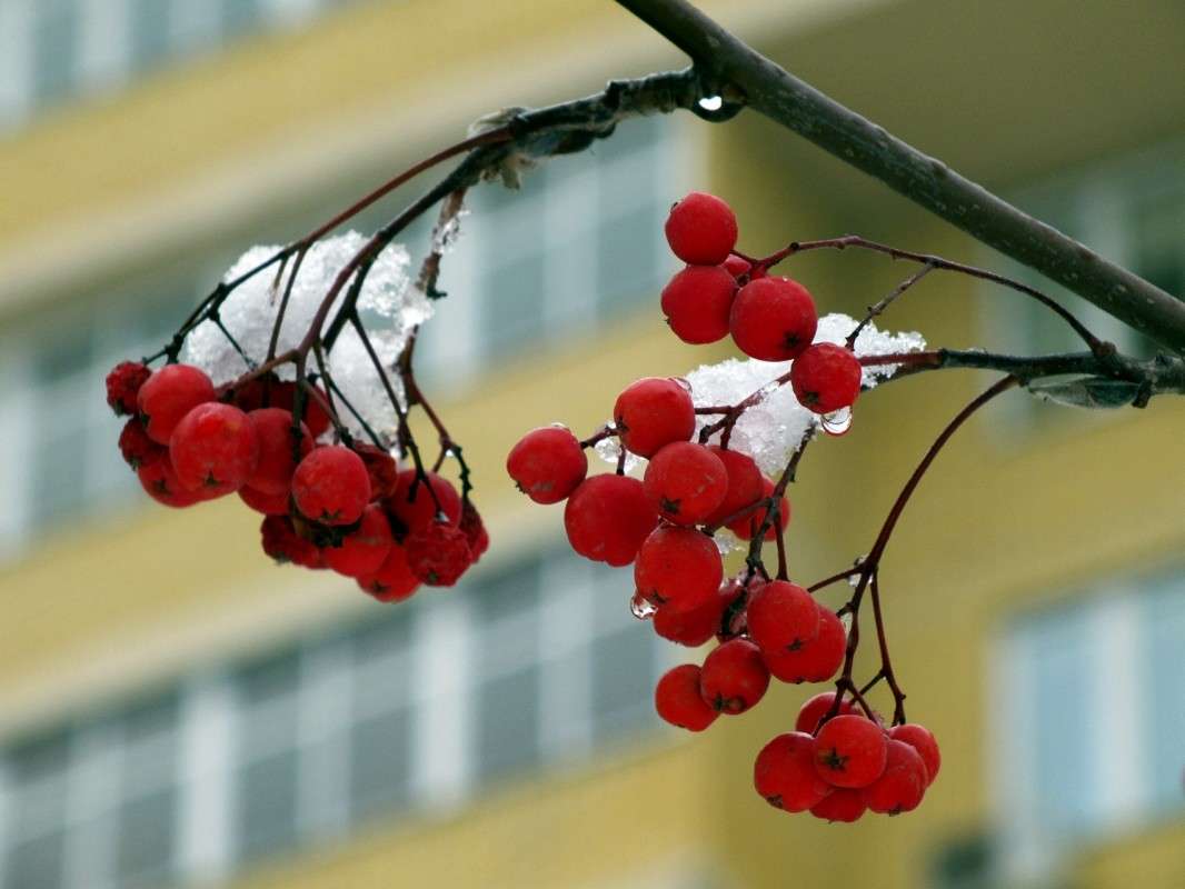 ����� ����.... ����� ������  �� PhotoGeek.ru #������ ��� �������