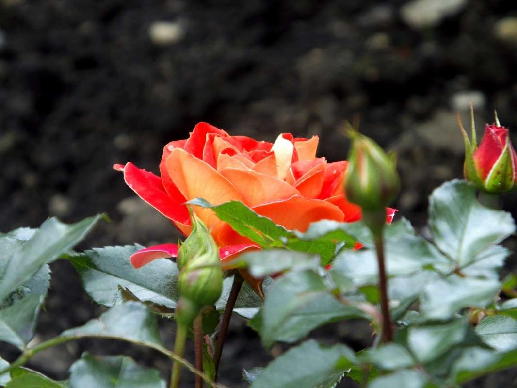 ���������� ����� ���� ����� ������  �� PhotoGeek.ru #������ ��� �������