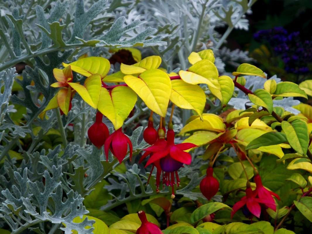 ������ ����� ����� ������  �� PhotoGeek.ru #������ ��� �������