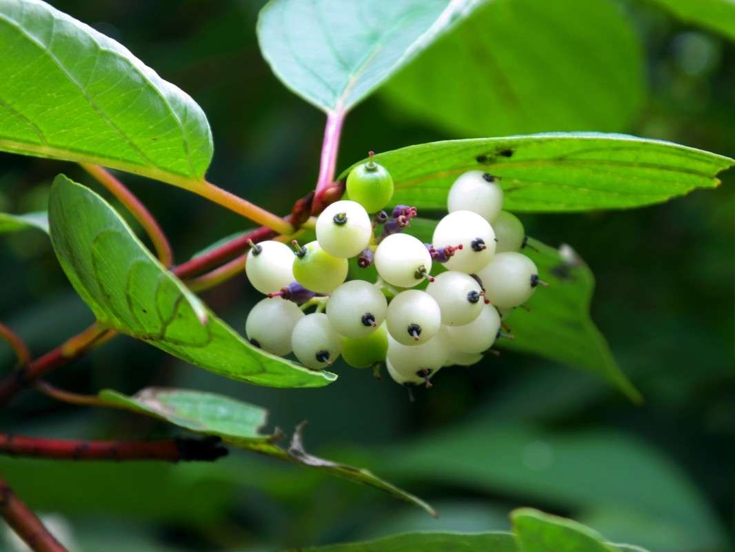 ... ����� ������  �� PhotoGeek.ru #������ ��� �������