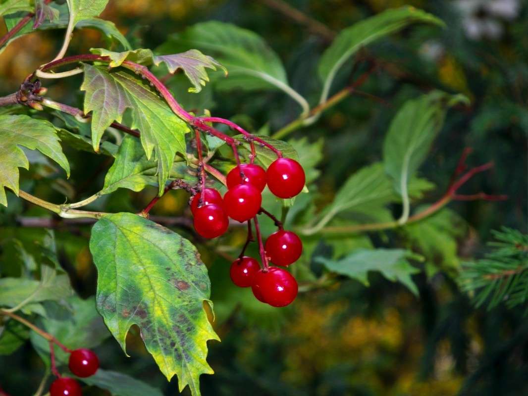 ����� ������ ����� ������  �� PhotoGeek.ru #������ ��� �������