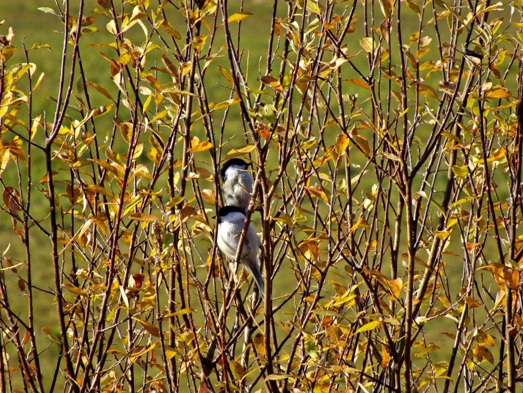 ���������-������� ����� ������  �� PhotoGeek.ru #�������� ���