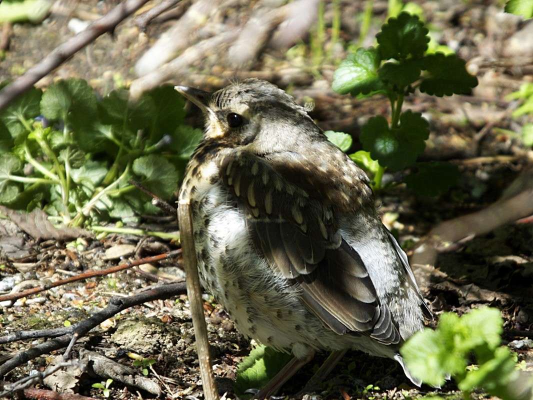 ��������� �..... ����� ������  �� PhotoGeek.ru #�������� ���