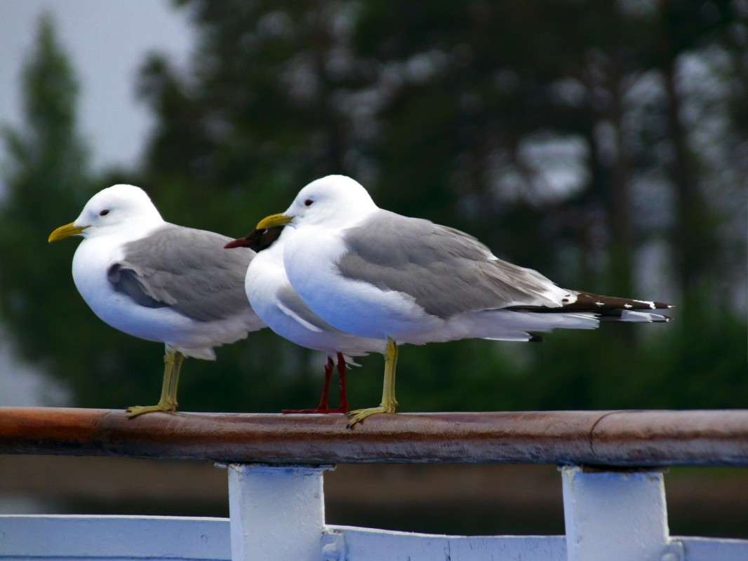 ������������........ ����� ������  �� PhotoGeek.ru #�������� ���