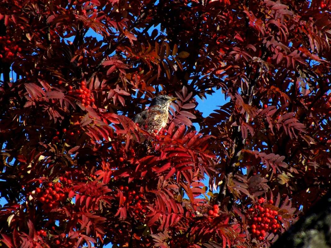 �����-�������� ����� ������  �� PhotoGeek.ru #�������� ���