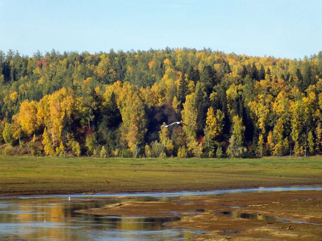 ���� ������ �� �������.... ����� ������  �� PhotoGeek.ru #�������� ���