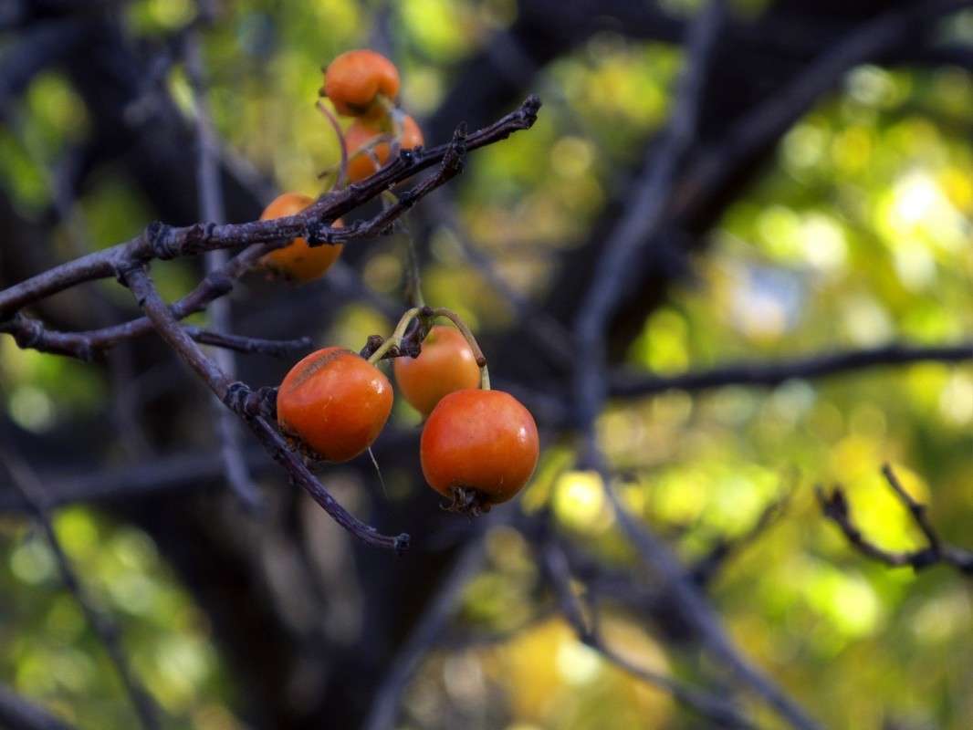 ������ ������� ����� ������  �� PhotoGeek.ru #������ ��� �������