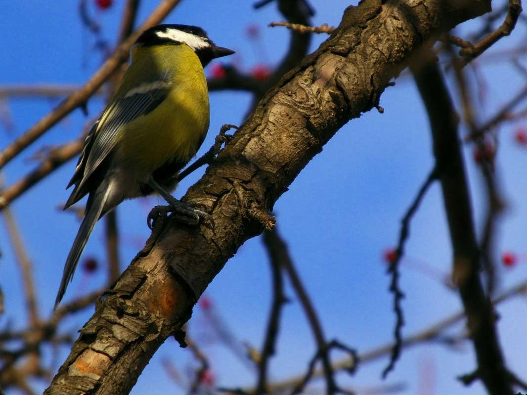 ������������ ����... ����� ������  �� PhotoGeek.ru #������ ��� �������