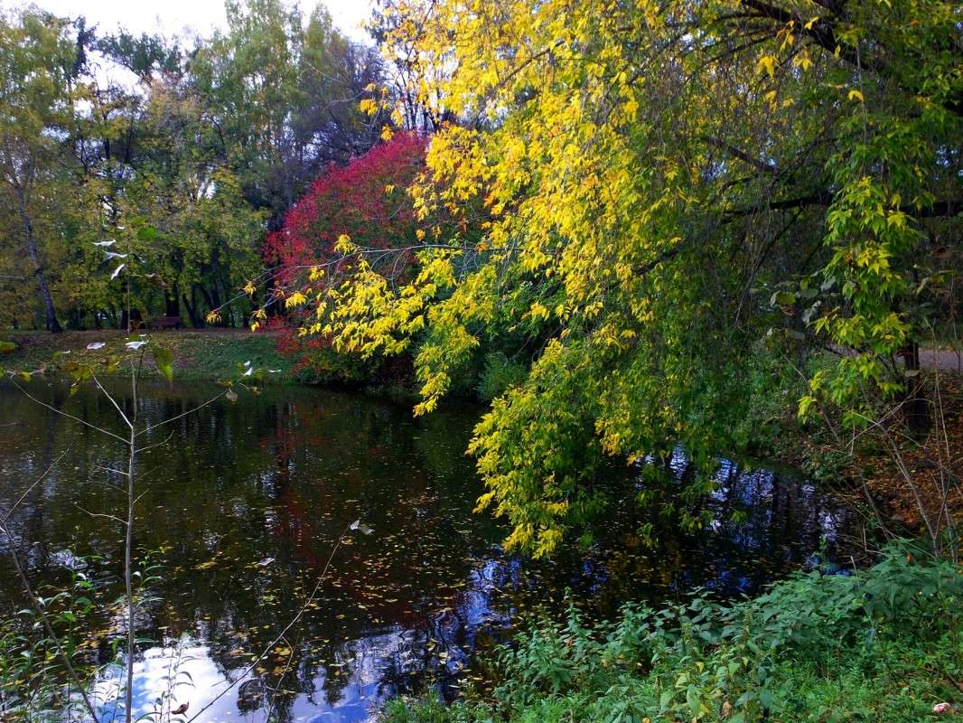 ������ ���� ����� ������  �� PhotoGeek.ru #������ ��� �������