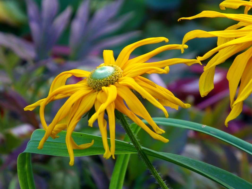 ��������� ������� ����� ������  �� PhotoGeek.ru #������ ��� �������