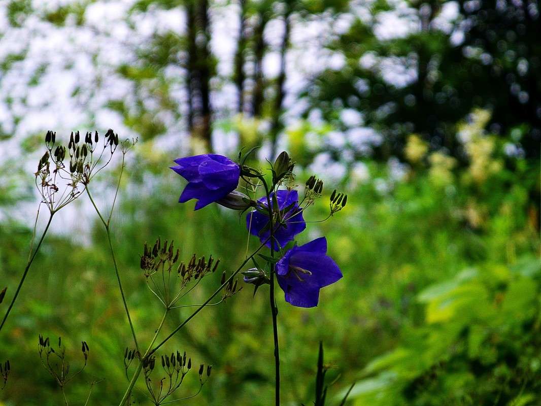 ........... ����� ������  �� PhotoGeek.ru #������ ��� �������