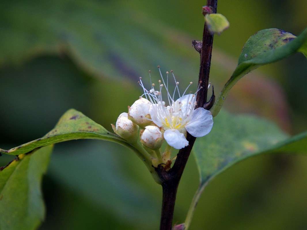 ����� ��� �����??? ����� ������  �� PhotoGeek.ru #������ ��� �������