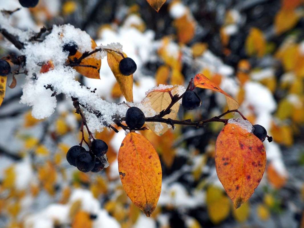 ������ �� ����� ����� ������  �� PhotoGeek.ru #������ ��� �������