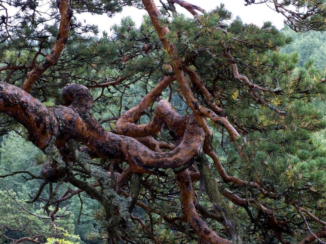 ����� ������� ����� ������  �� PhotoGeek.ru #������ ��� �������