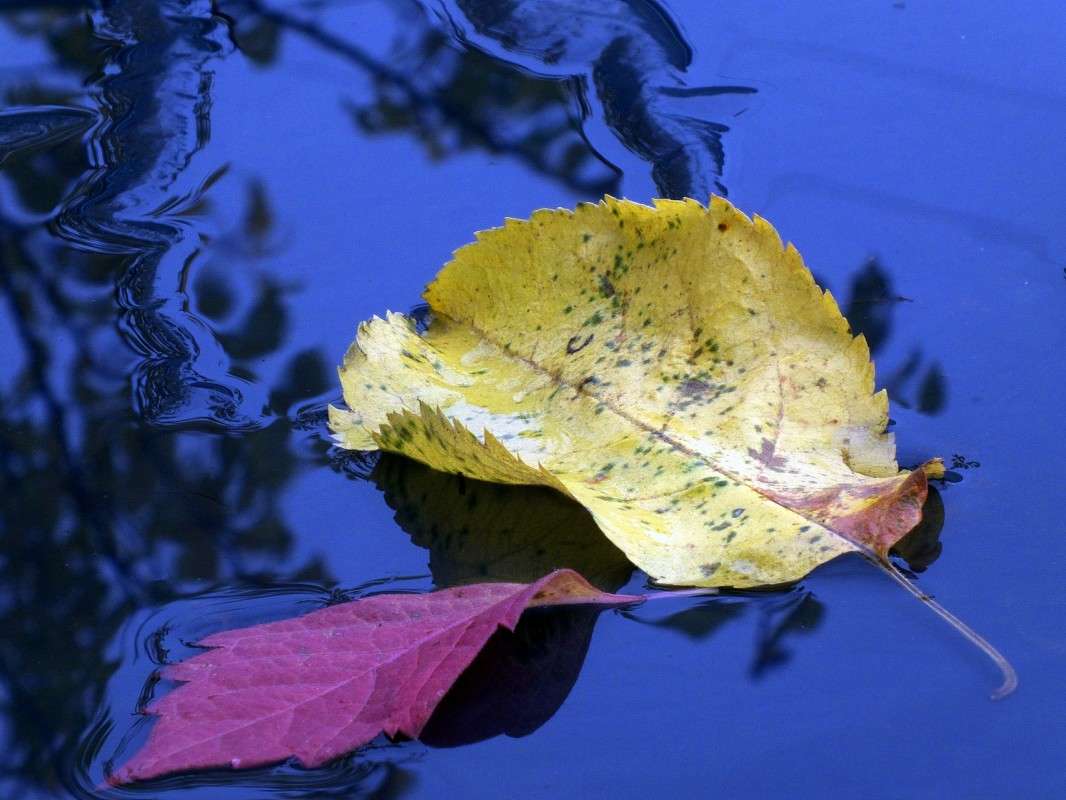 ����� ����� ������  �� PhotoGeek.ru #������ ��� �������