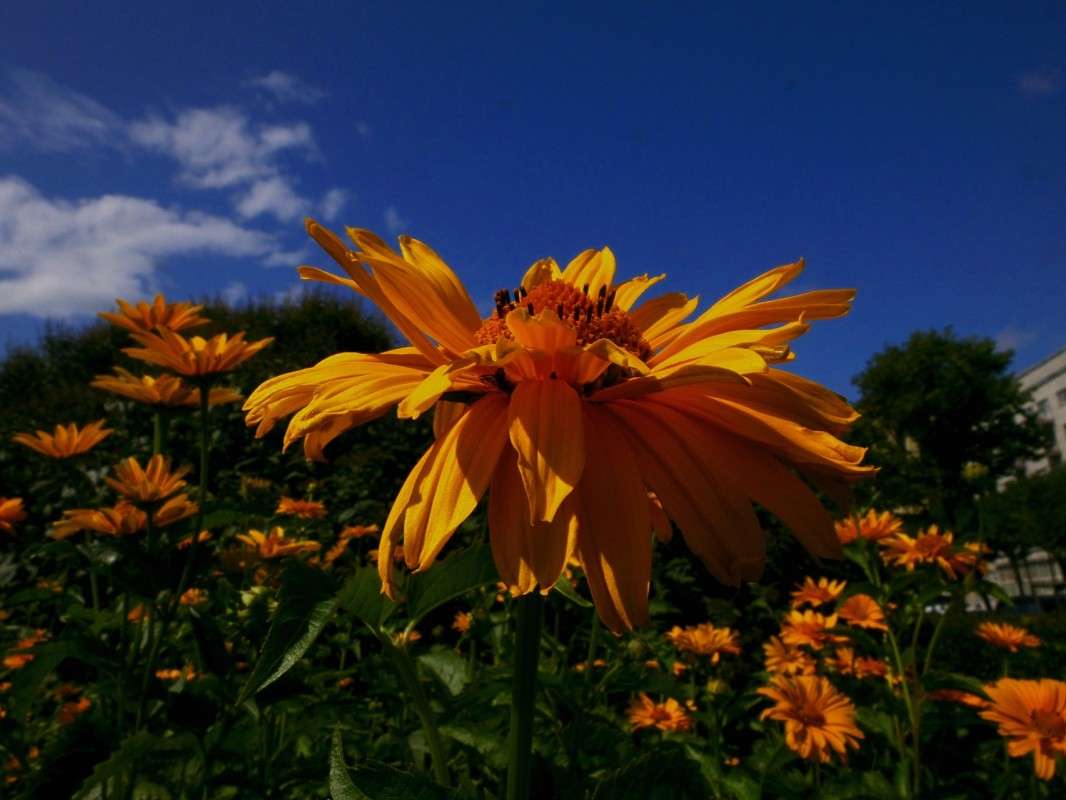 ��������.... ����� ������  �� PhotoGeek.ru #������ ��� �������