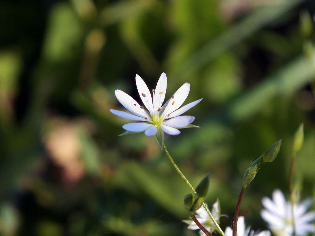 ��������� �������... ����� ������  �� PhotoGeek.ru #������ ��� �������