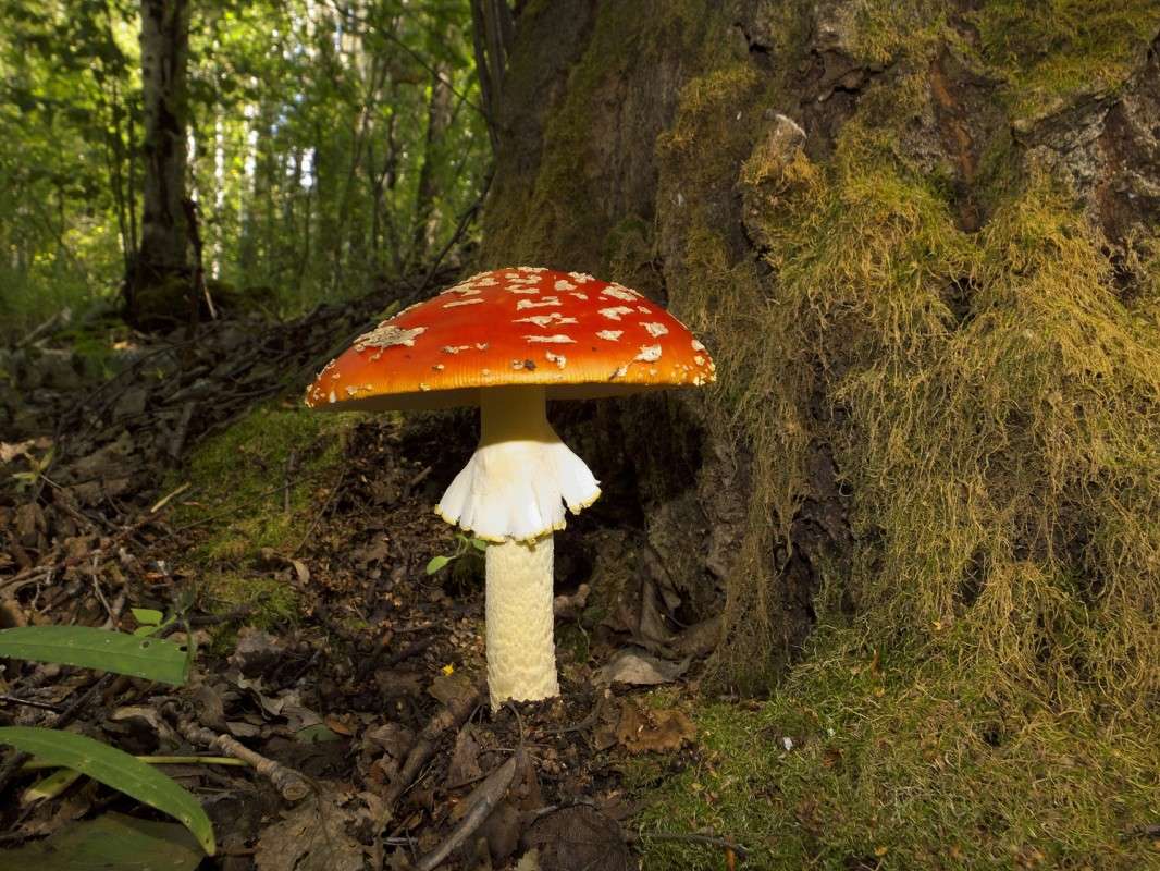 ����� �� ������ ����� ������  �� PhotoGeek.ru #������ ��� �������