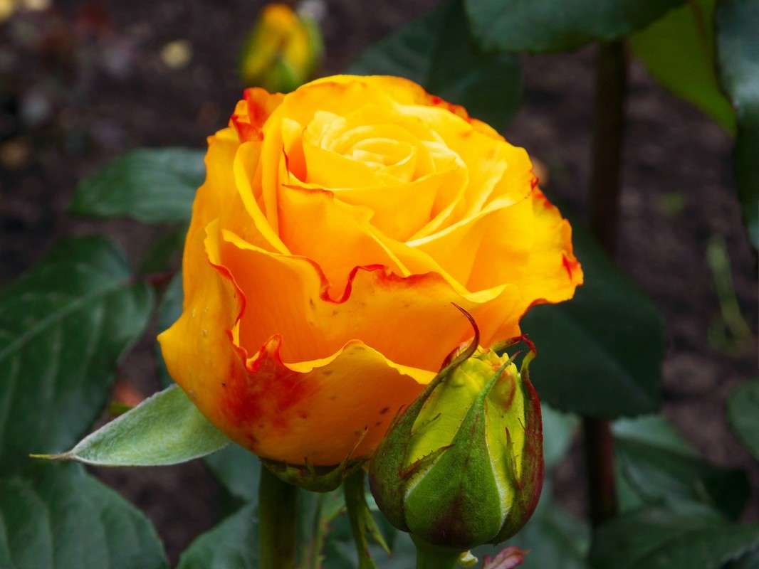 ����� ����� ����� ������  �� PhotoGeek.ru #������ ��� �������